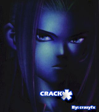 crack.jpg (15041 bytes)